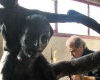 Il Maestro al lavoro in fonderia